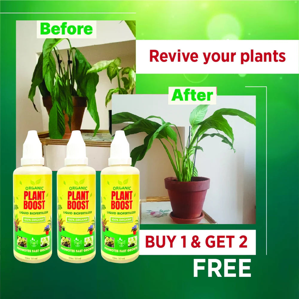 100% Organic Plant Boost Biofertilizer (Free Rose Seeds)