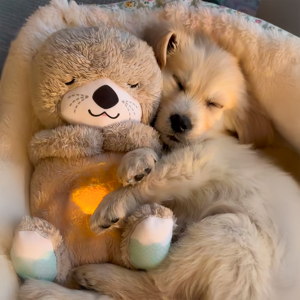 Breathing Teddy Plush Toy 🧸