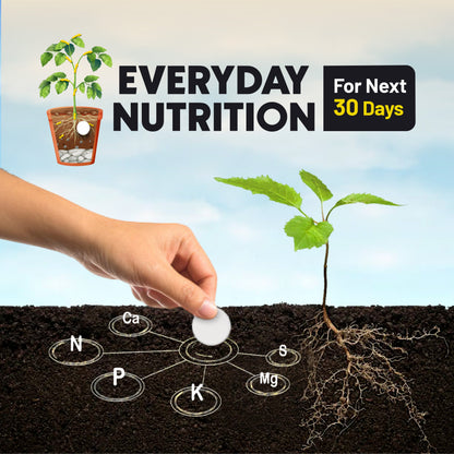 PlantBoost™ - Magic Plant Soil Tablets 🌱✨ (Buy 1 Get 1 Free 🔥🔥)