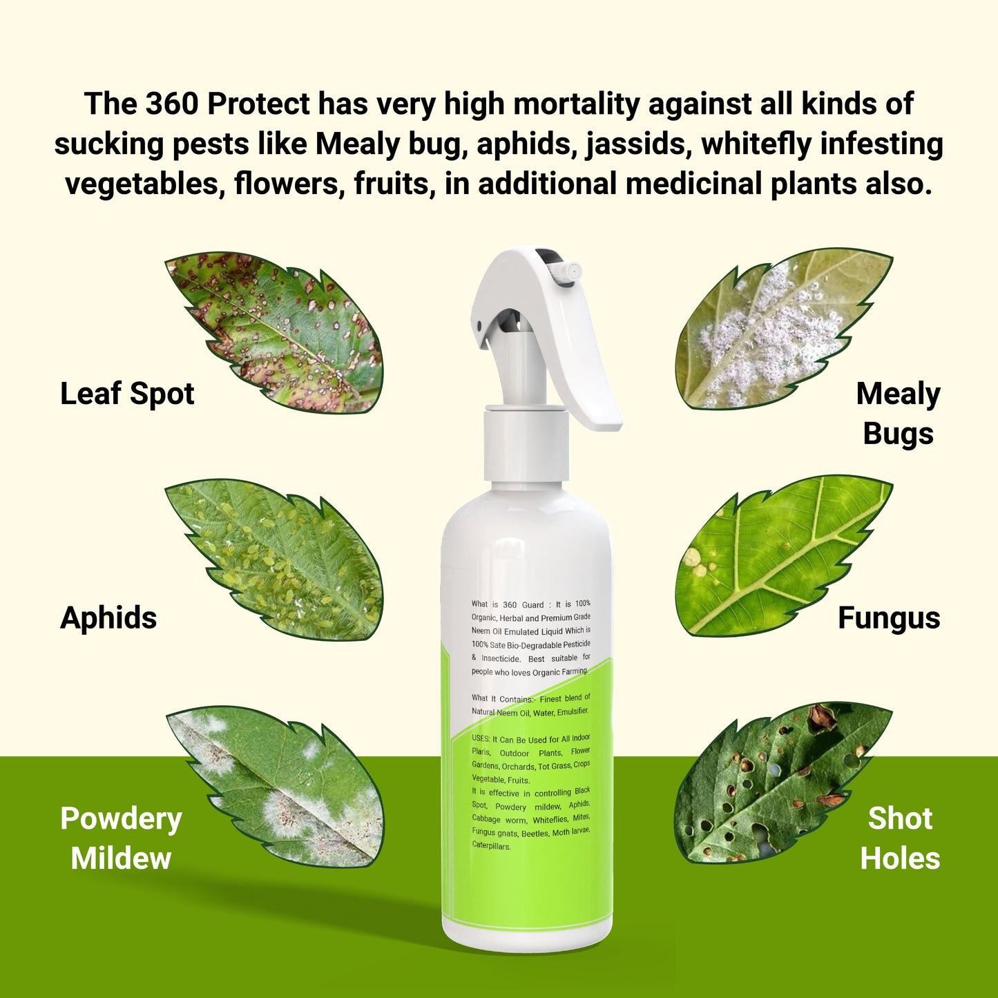 360Protect™ - Pure Neem Plant Protection Spray 🌱✨ (Buy 1 Get 1 Free🔥🔥)