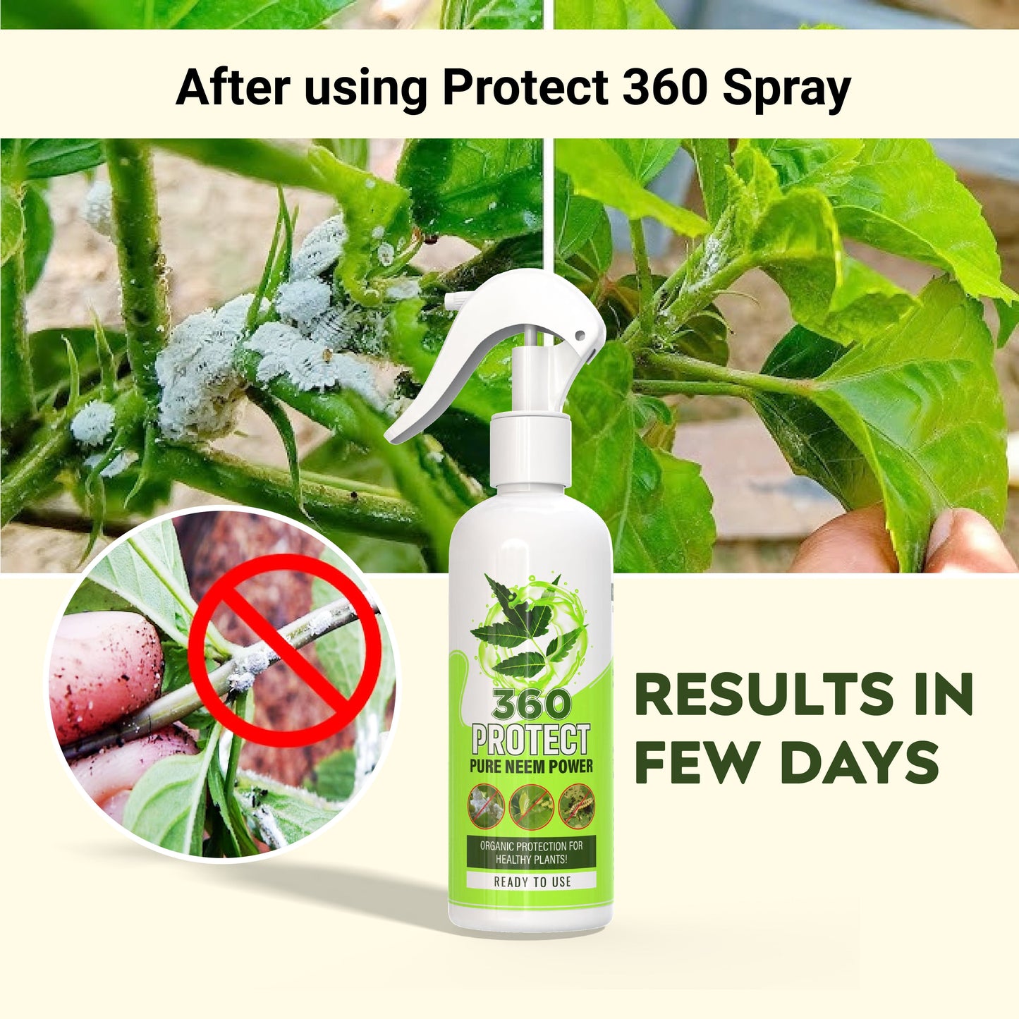 360Protect™ - Pure Neem Plant Protection Spray 🌱✨ (Buy 1 Get 1 Free🔥🔥)