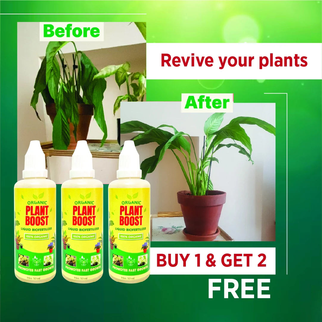 100% Organic Plant Boost Biofertilizer | BUY 1 GET 2 FREE 🔥