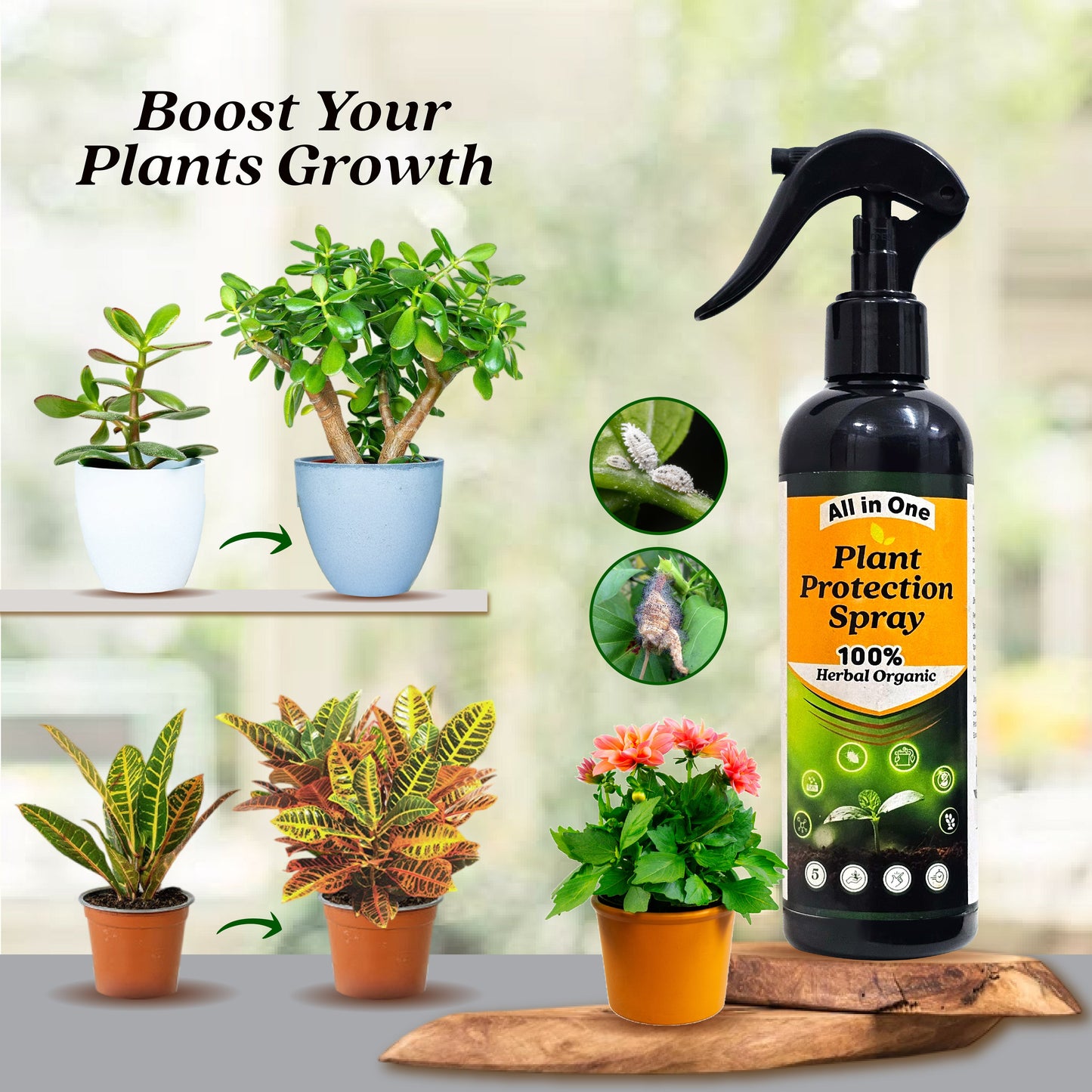 PlantShield™ - All in One Plant Protection Spray 🌿🛡️(Buy 1 Get 1 Free🔥🔥)
