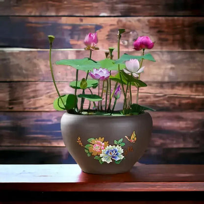 🌸 Premium Japanese Bonsai Lotus Seeds - High Fragrance